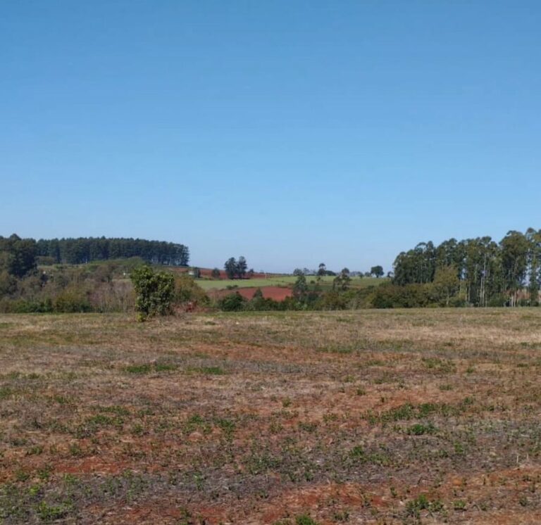 WhatsApp-Image-2025-10-24-at-14.25.52-1