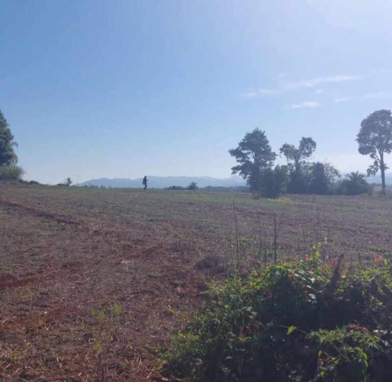 WhatsApp-Image-2025-10-24-at-14.25.52-2