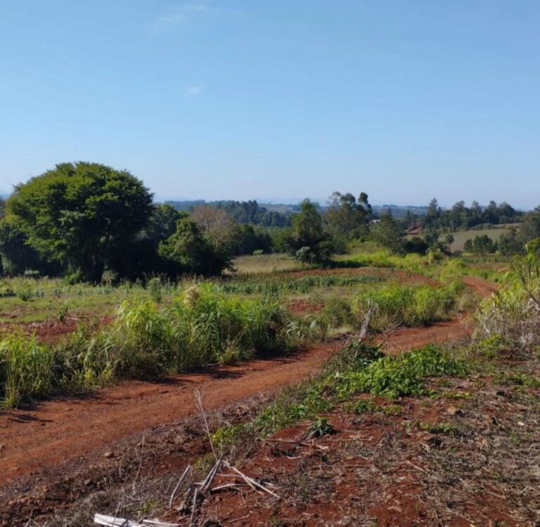 WhatsApp-Image-2025-10-24-at-14.25.52