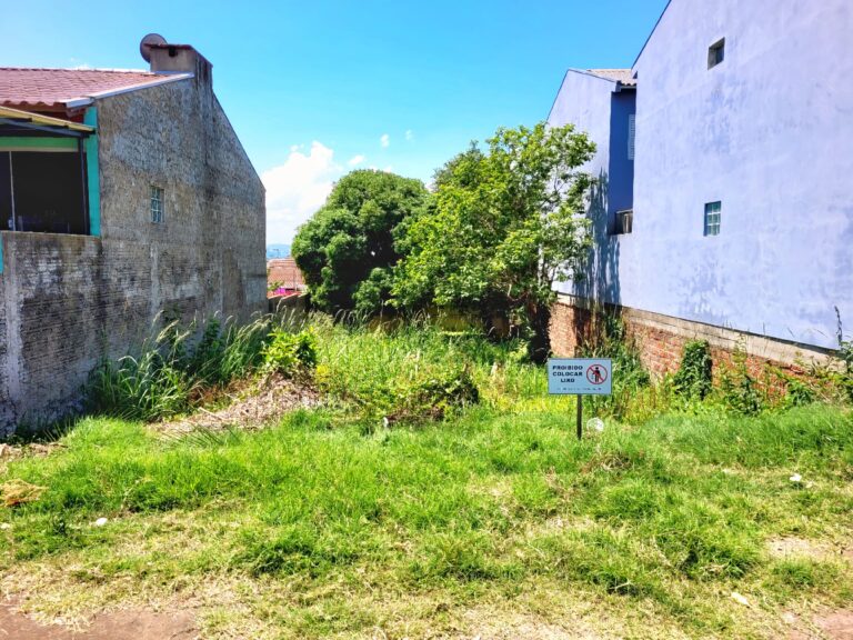 IMG-20251115-WA0073-1