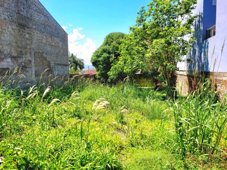 IMG-20251115-WA0076-1