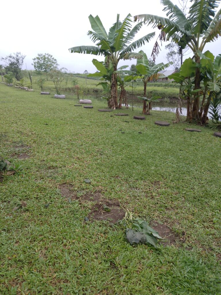 IMG-20250422-WA0106