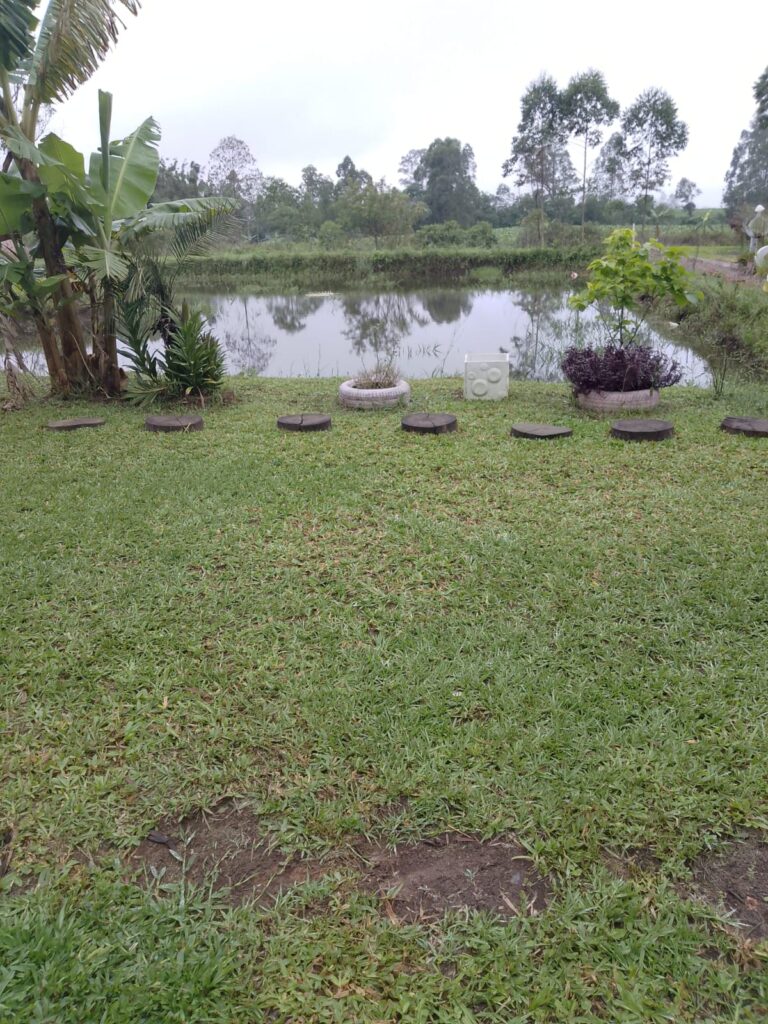 IMG-20250422-WA0108