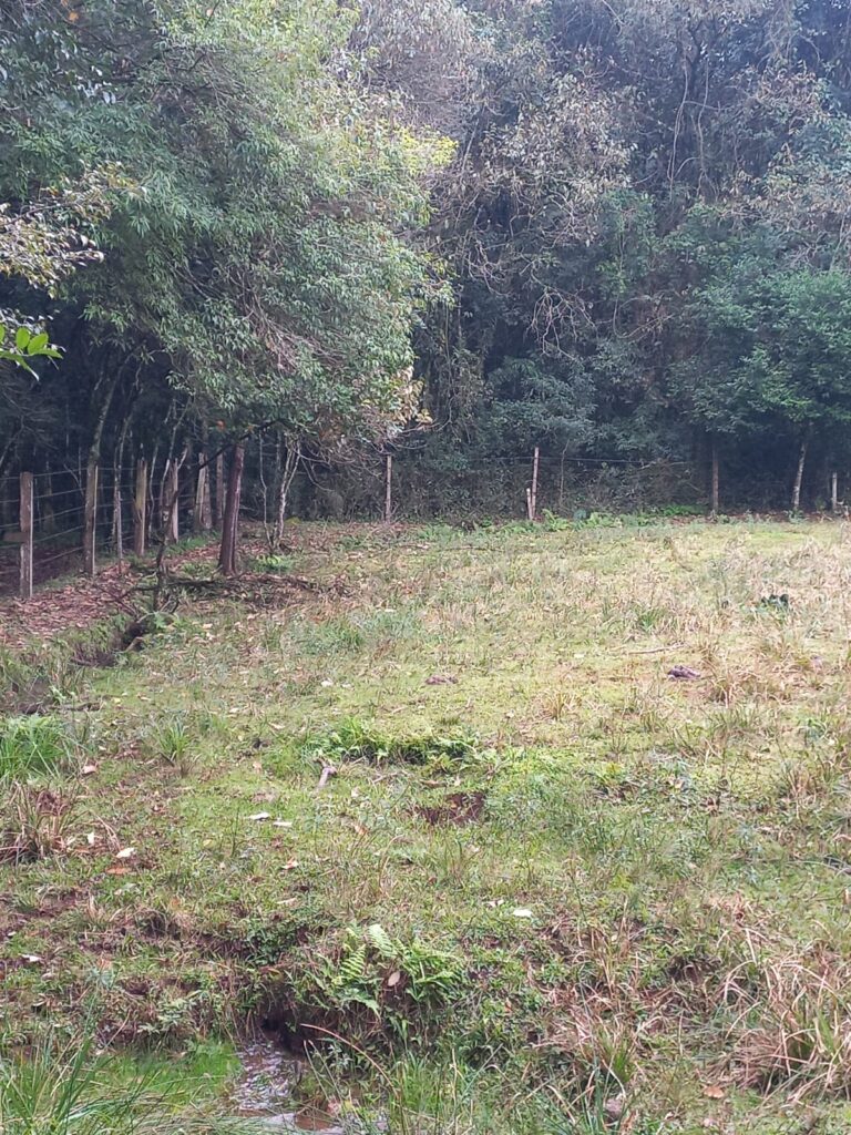IMG-20250722-WA0542