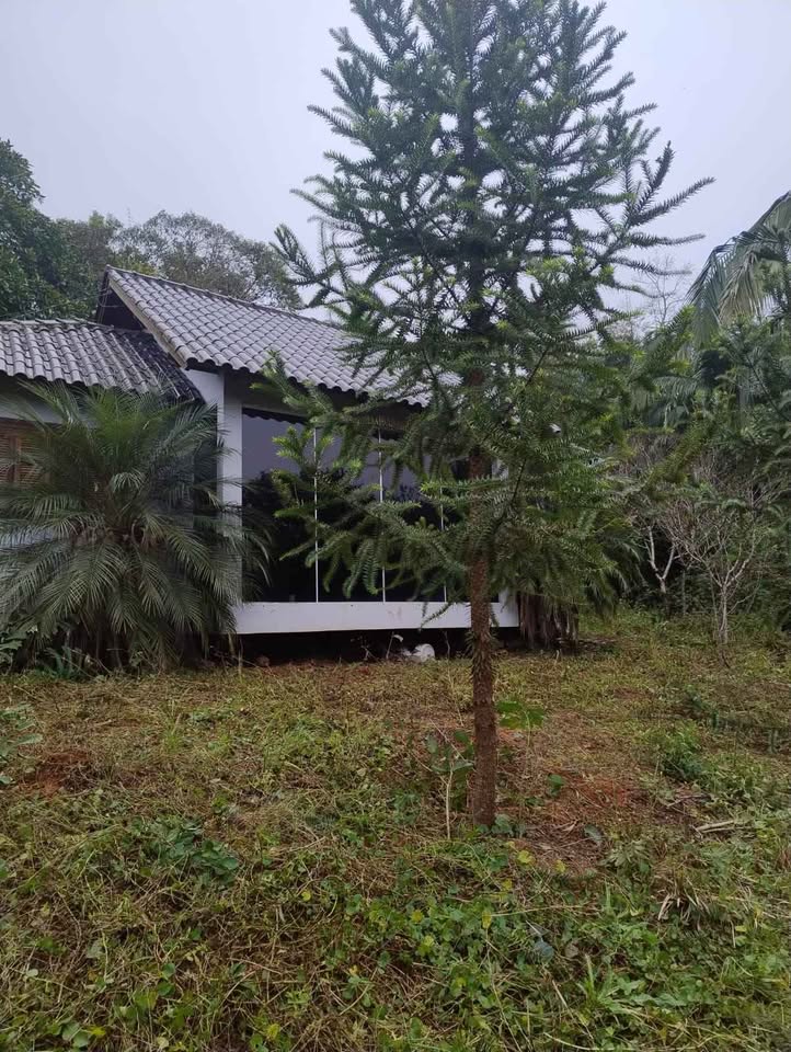 518111436_1117290306970176_3612712420753747265_n