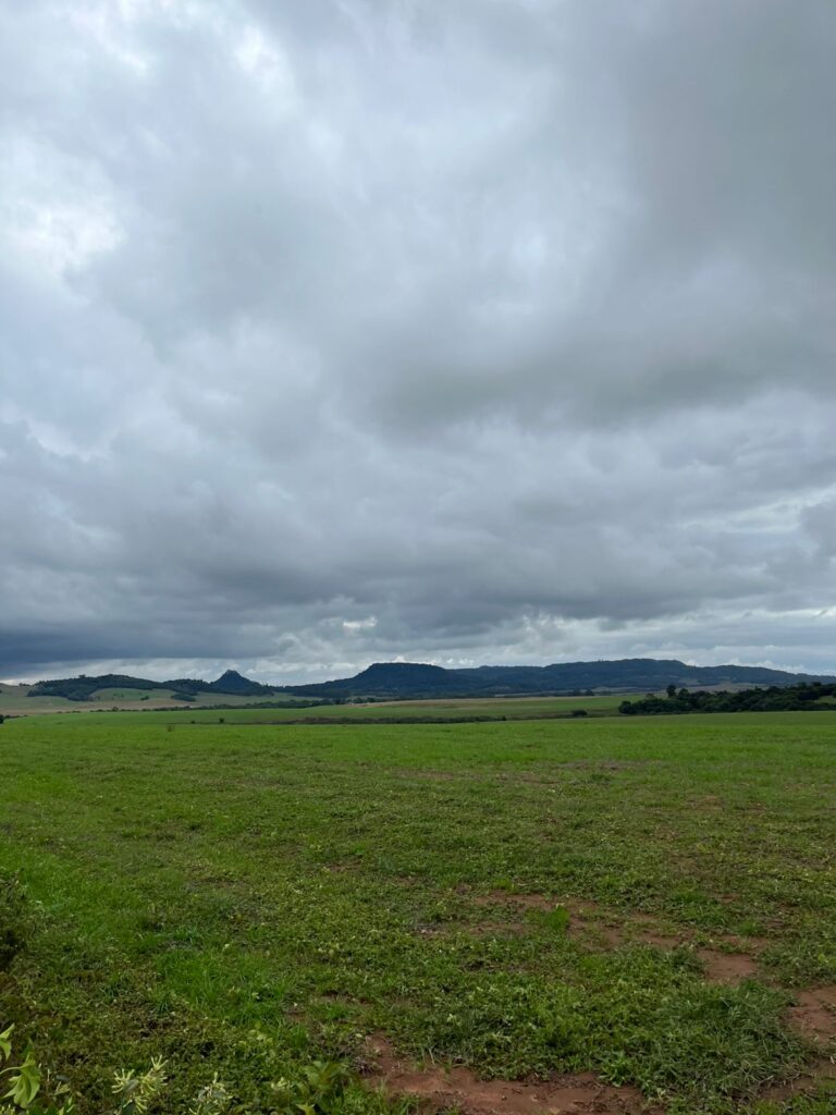 cb9575ee-550e-4f23-81e7-411dbb483482