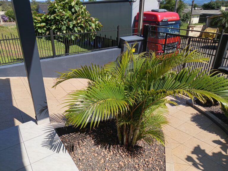 17519b03-7a35-49c4-9ecd-bc1fa4e81c4b-1