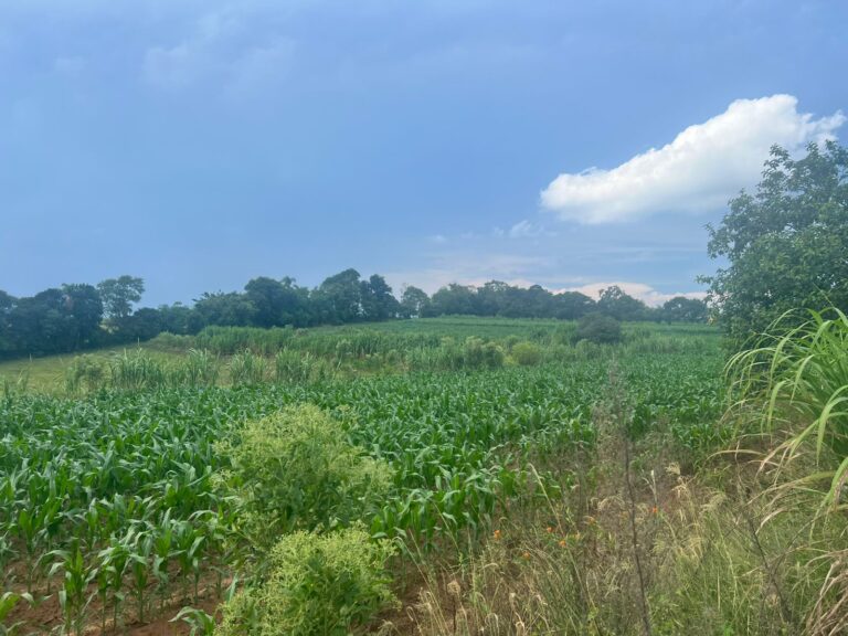 0026adb3-ea7e-42bf-af4a-611dcd5d4d27