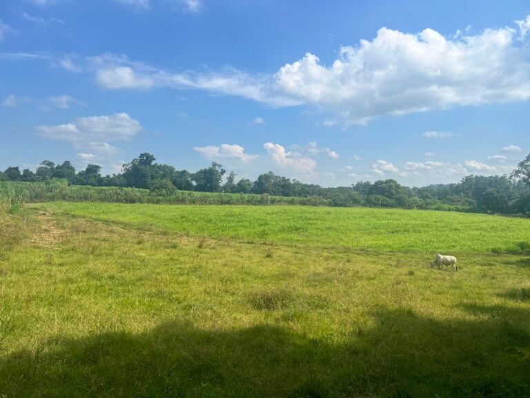 01ae7250-218a-49b4-8708-10574a418922