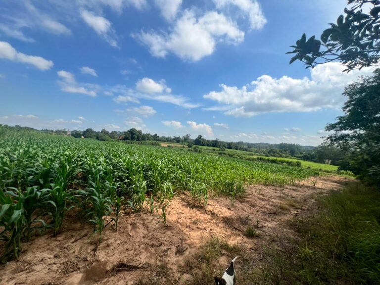 01c3a563-72d7-467c-b0ad-47f30b06ede8