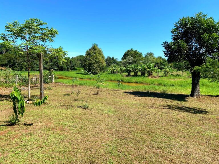 15eb5bbb-36c8-4be5-b867-fc8f013a2892