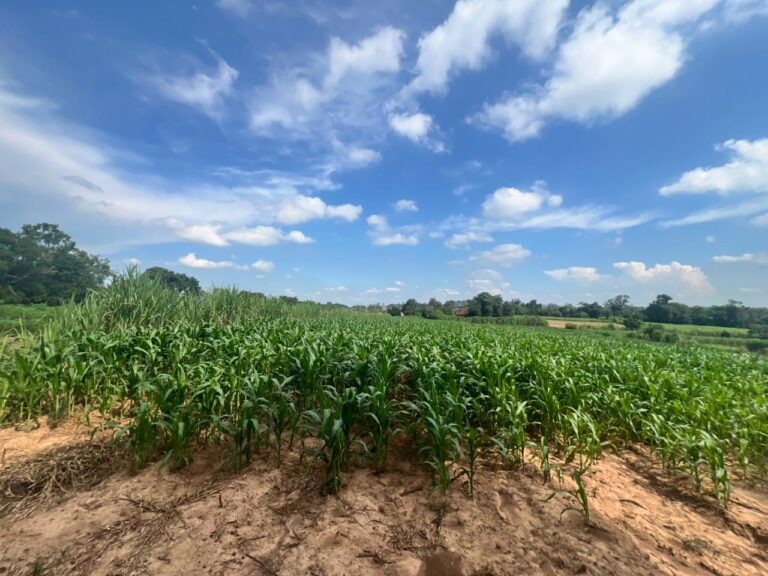 2eddb6fe-c1e8-4454-a24d-b6887478ce91