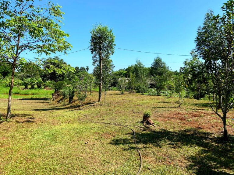 38124d9a-618b-4d40-a513-89714e544e8d