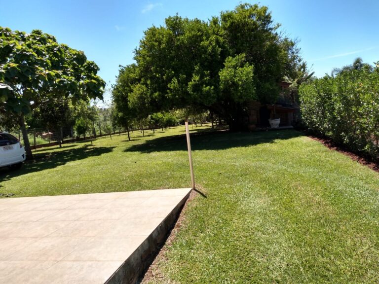 86a2b892-e45c-4e3c-a61c-379d52a82a97