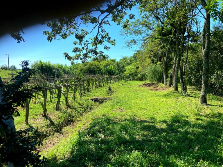 947d490d-4398-4292-b891-589318f0a28e