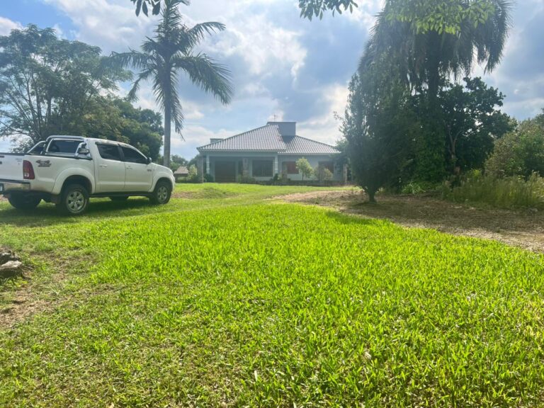 e3b8775c-c71b-4697-b11a-69354687e3bc