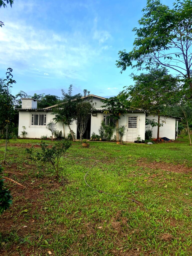 ed3a9e12-a2ff-43fb-beee-8b93d6a297bb