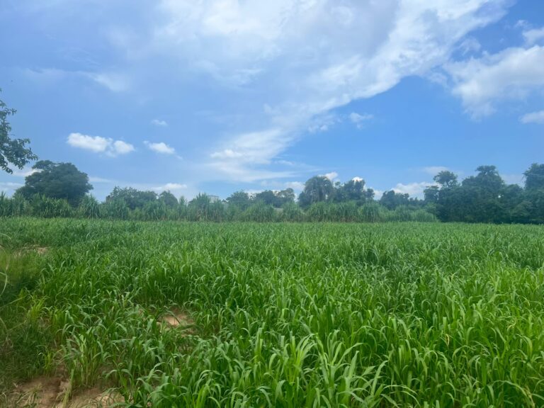 f46eb738-7532-433b-b31b-7f6fae376d55