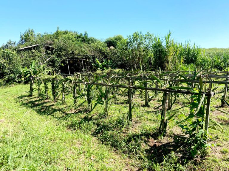 f9fccda8-3c1c-44b7-aeae-513b03bfb103