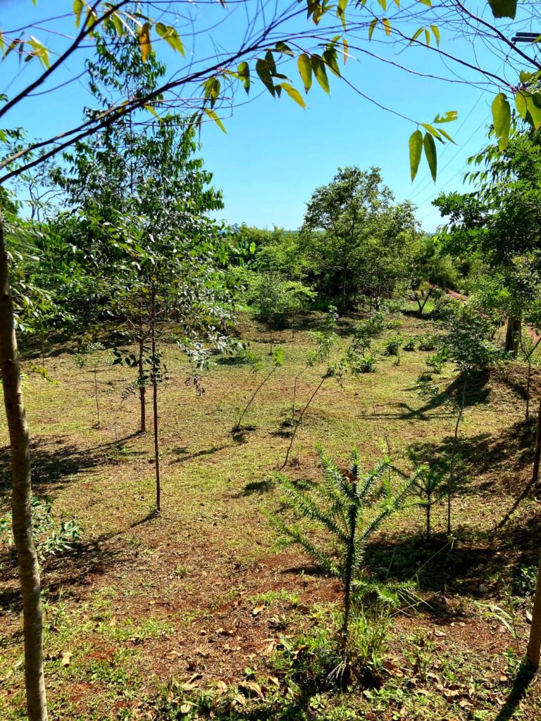 fe117faf-91f7-4393-8633-882dede4a2bc