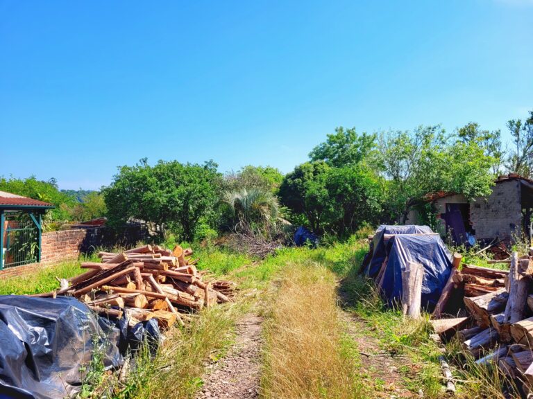 IMG-20251114-WA0055-2