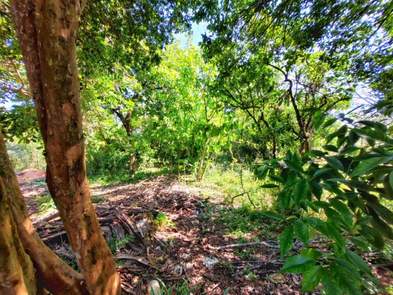 IMG-20251114-WA0057-2