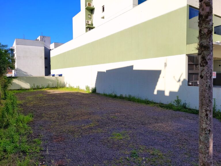 IMG-20251121-WA0013-1