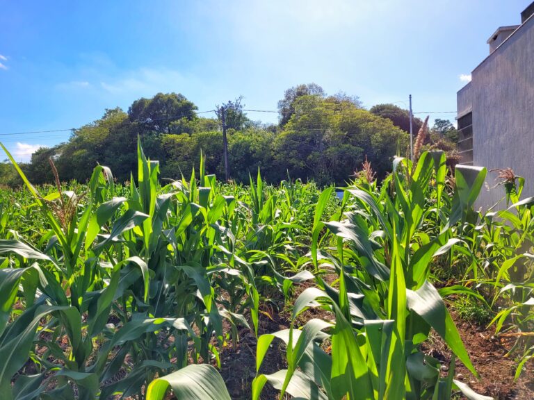 IMG-20251215-WA0018-4