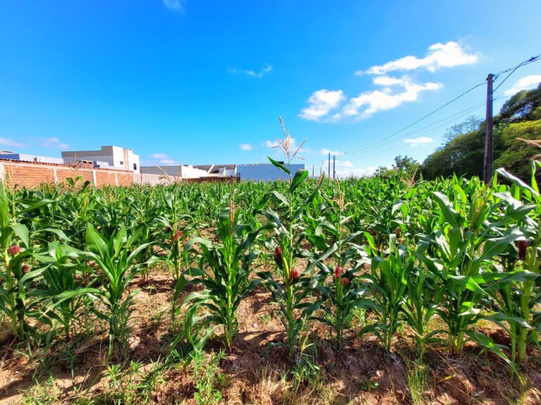 IMG-20251215-WA0020-1