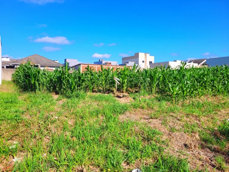 IMG-20251215-WA0021-3