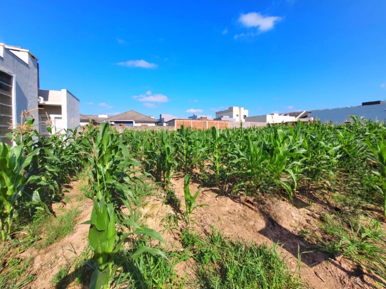 IMG-20251215-WA0023-4