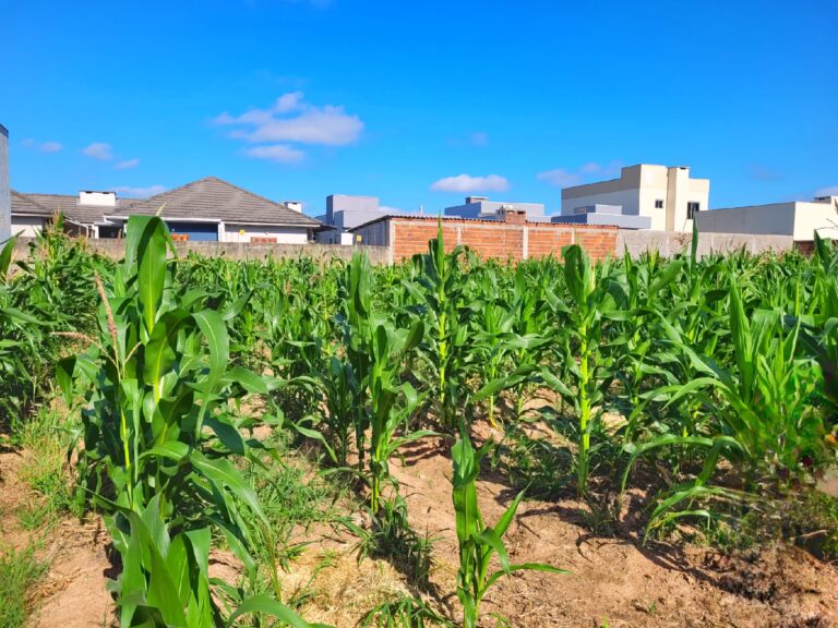 IMG-20251215-WA0024-4