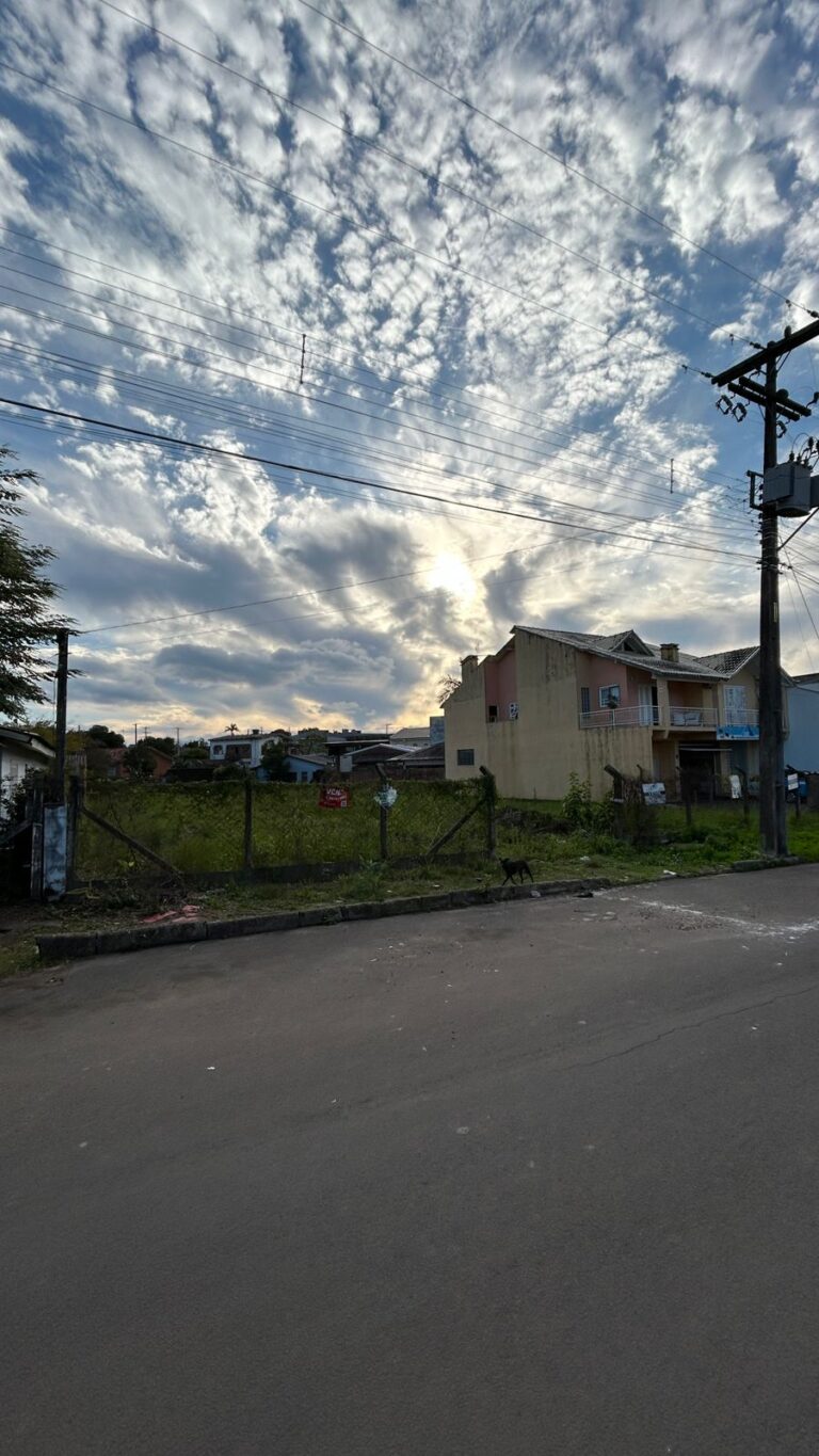 WhatsApp-Image-2025-06-27-at-16.54.29