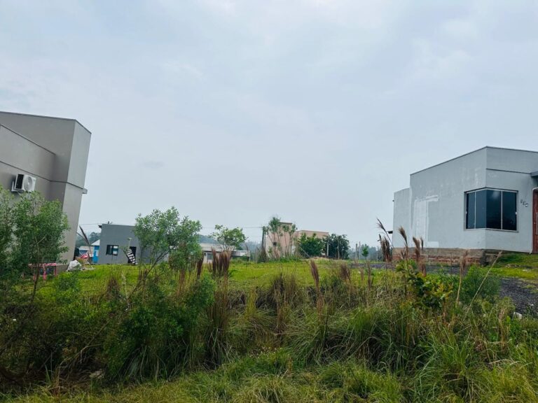 WhatsApp-Image-2025-09-23-at-14.54.21